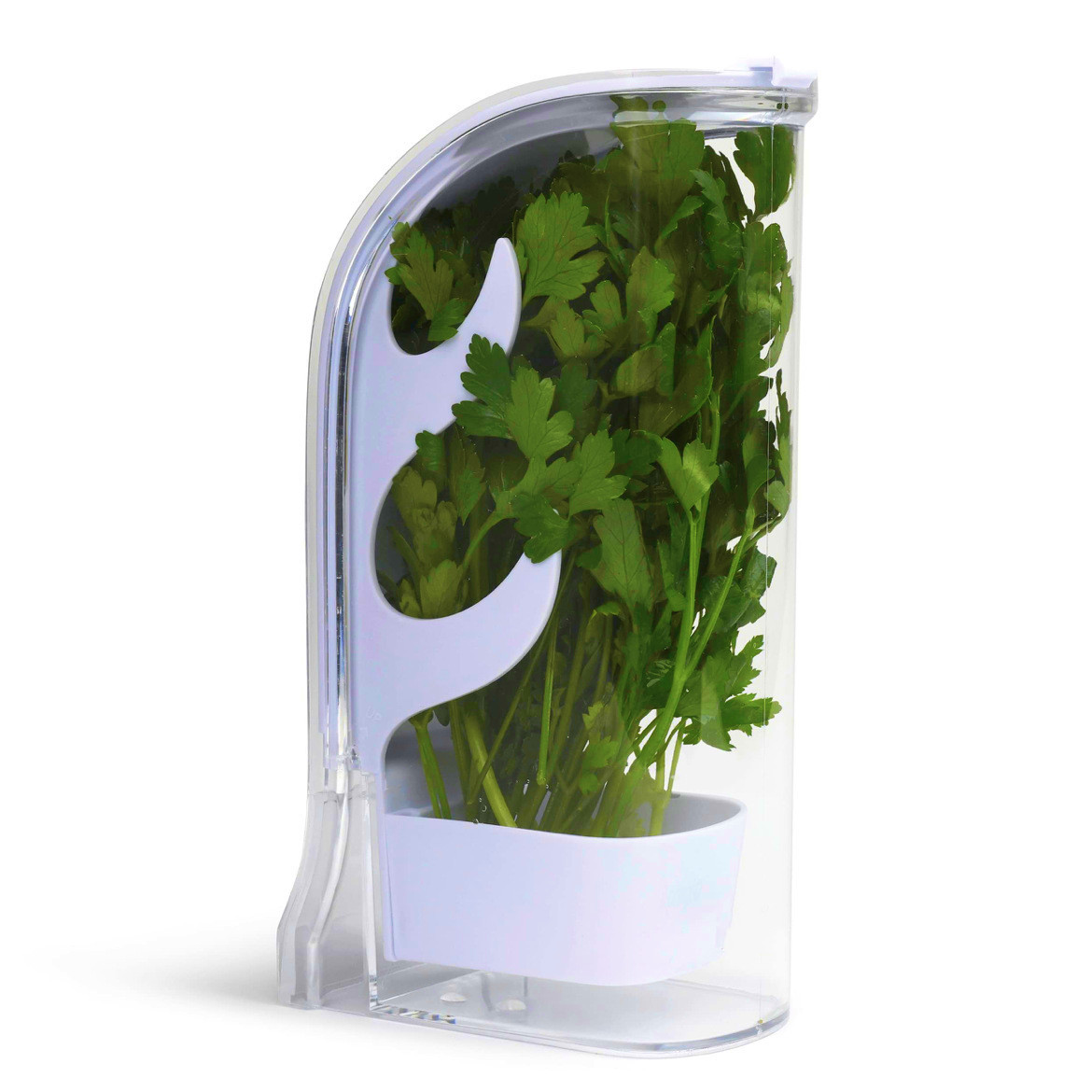 Herb Crisper Saver Container R - Kitchen Gadgets Modern 评论和价格