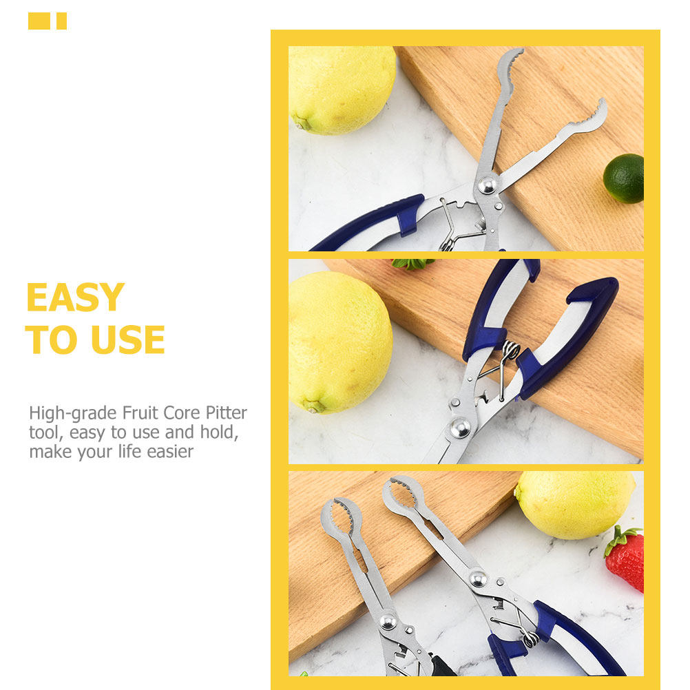 Stainless Steel Hawthorn Pitte - Kitchen Gadgets & Toys 评论和价格