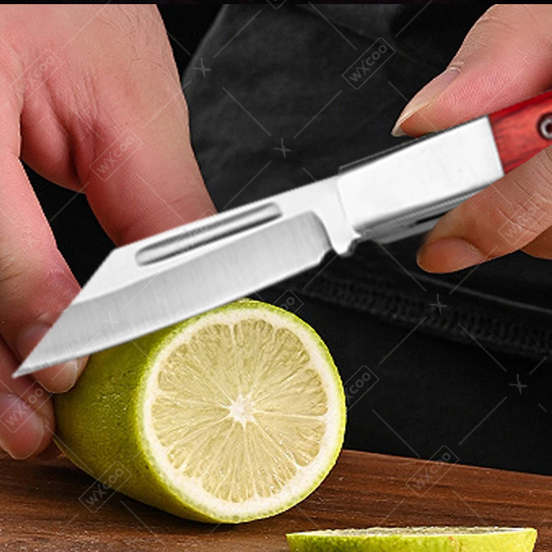 Stainless Steel Pocket Knife R - Kitchen Gadgets Sale 评论和价格